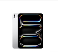 Apple/苹果 iPad Pro 11英寸 M4芯片 银色平板电脑